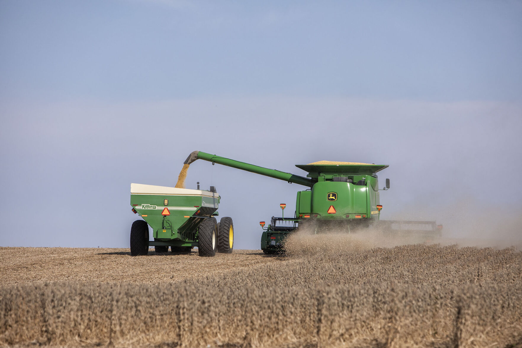Woodford harvest